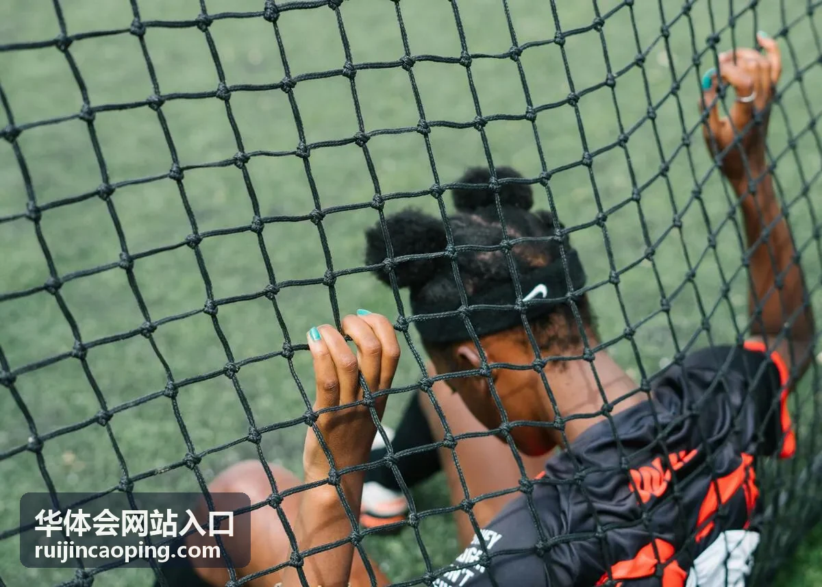 华体会网站入口操作顺序与页面结构示意