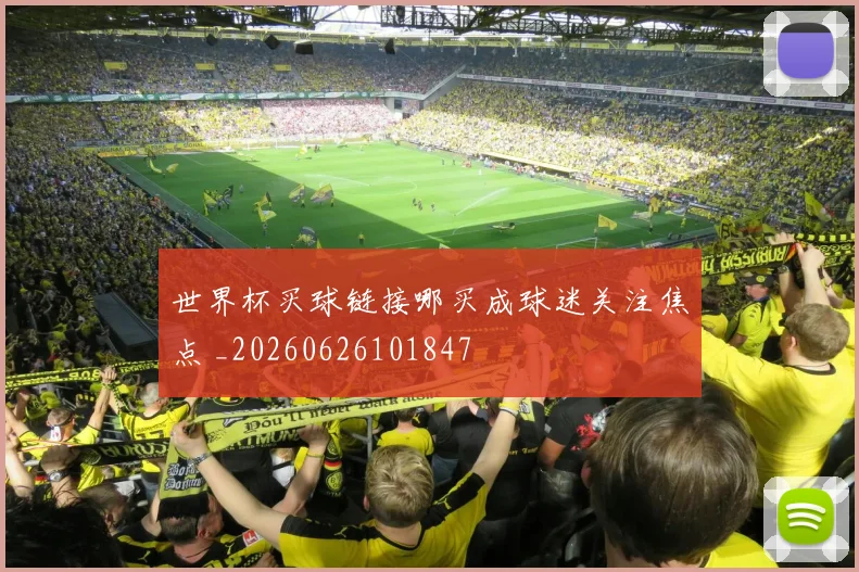 世界杯买球链接哪买成球迷关注焦点 _20260626101847