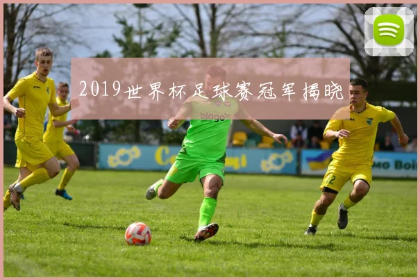 2019世界杯足球赛冠军揭晓