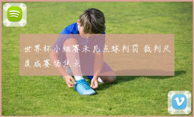 世界杯小组赛未见点球判罚 裁判尺度成赛场焦点