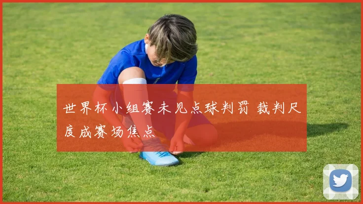 世界杯小组赛未见点球判罚 裁判尺度成赛场焦点